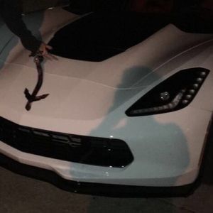 Meet your Posher, Dylan